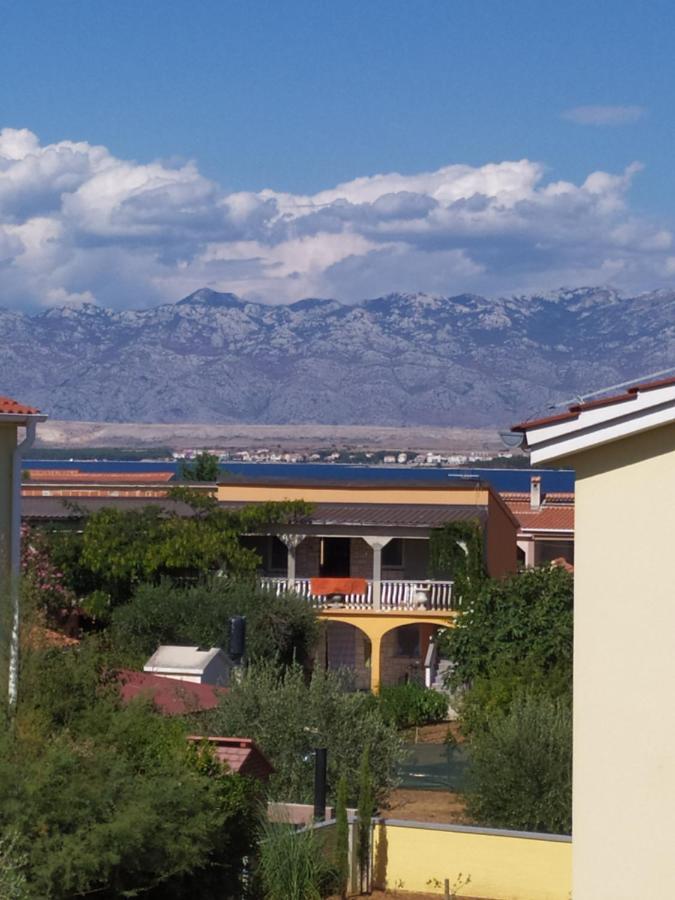 Apartmani Vjeko Vir Buitenkant foto