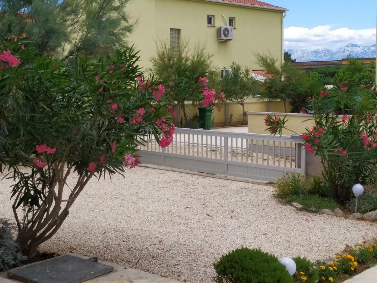 Apartmani Vjeko Vir Buitenkant foto